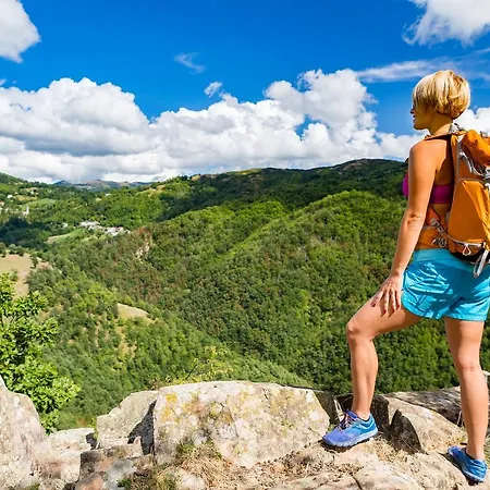 Relaks Wellness & 3* Карпач